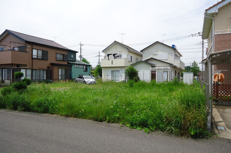 DSC00795