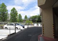 IMG_3134